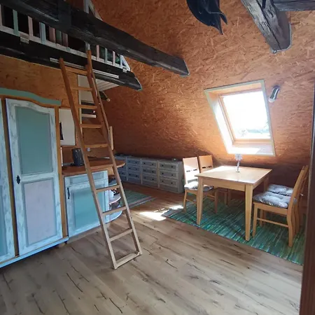 Hof-silberweide * Wendisch Waren