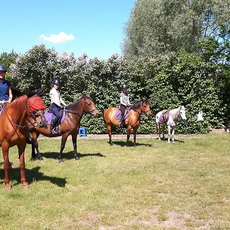 Hof-silberweide * Wendisch Waren