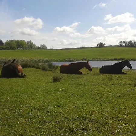Appartement Hof-silberweide Wendisch Waren