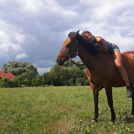Appartement Hof-silberweide Wendisch Waren