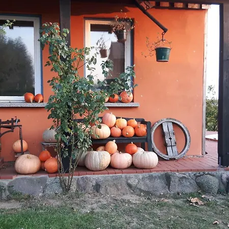 Hof-silberweide Appartement