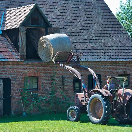 Hof-silberweide * Wendisch Waren