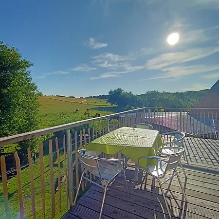 Hof-silberweide * Wendisch Waren