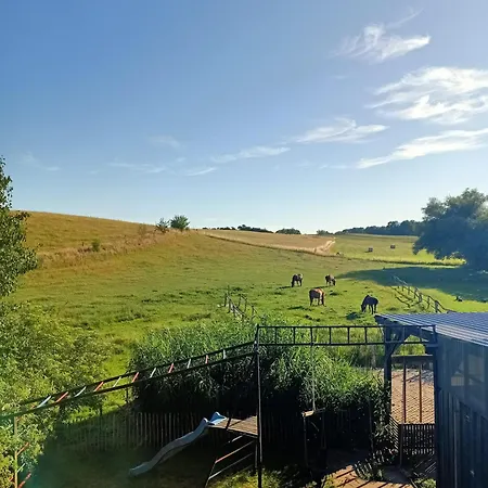 Hof-silberweide Wendisch Waren