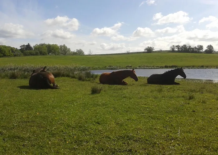 아파트 Hof-silberweide Wendisch Waren