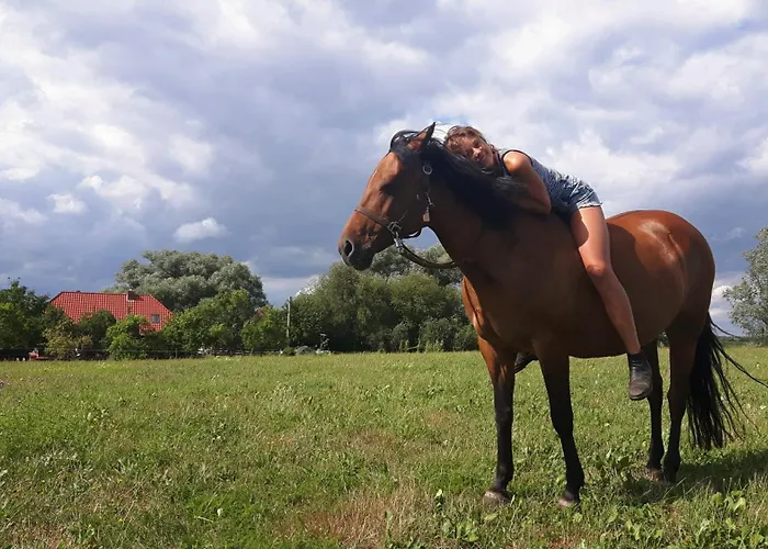 아파트 Hof-silberweide Wendisch Waren