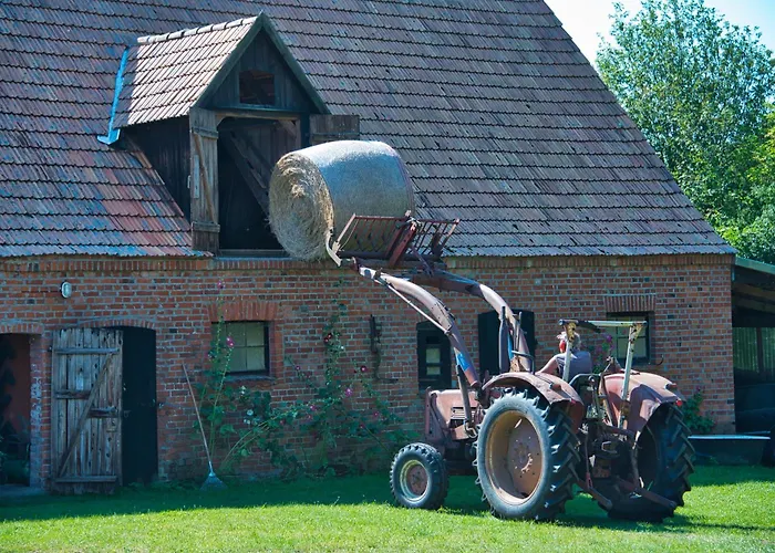 Hof-silberweide * Wendisch Waren