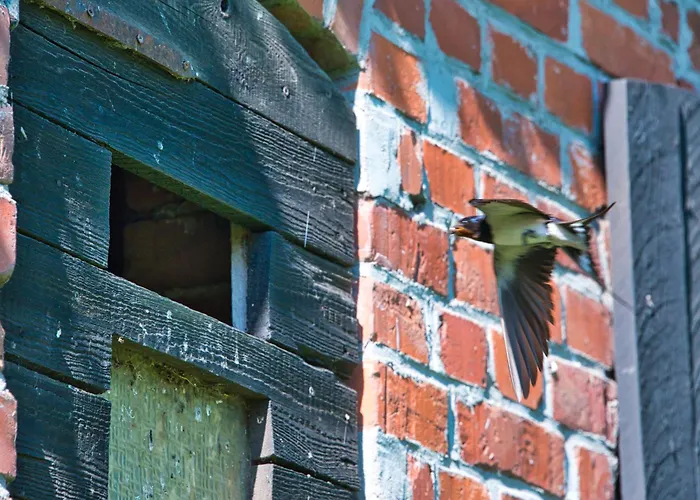 아파트 Hof-silberweide