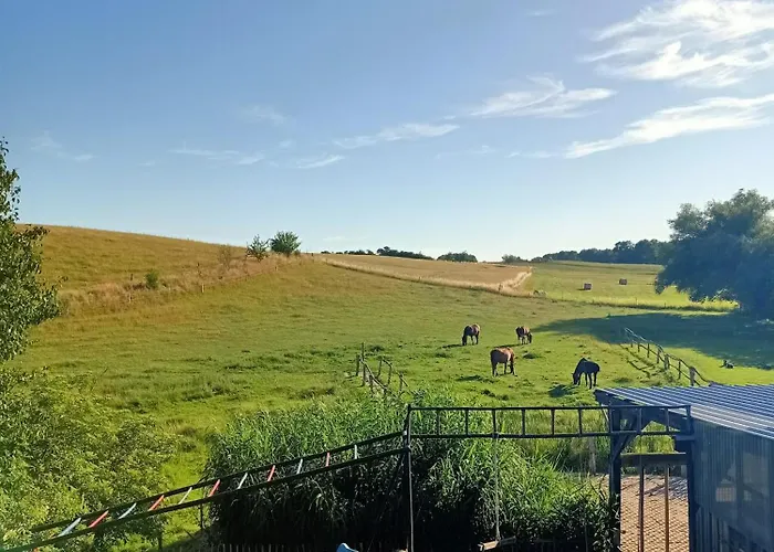 Hof-silberweide Wendisch Waren